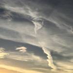 Sandi Phillips Profile Picture