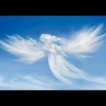 Michael Cervini Profile Picture