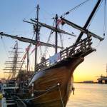 DEADFISH Profile Picture