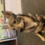 Haiyipatuklo Profile Picture