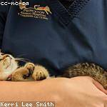 Marilyne Bartoletti Profile Picture