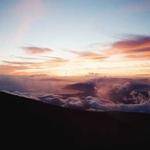 Noah Grant Profile Picture