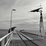 Mellie Sawayn Profile Picture