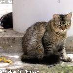 Donald Barrows Profile Picture