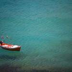 Edyth Rowe Profile Picture