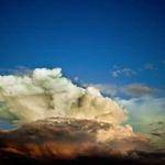 Julia Dickens Profile Picture