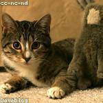 Jeramie Wolff Profile Picture