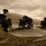 Dedrick Bauch Profile Picture