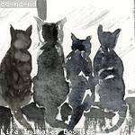 Sheldon Armstrong Profile Picture