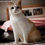 Rachael Brekke Profile Picture