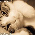 Luella Nikolaus Profile Picture