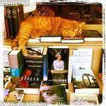 Randi Cassin Profile Picture