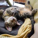 Johnathon Eichmann Profile Picture