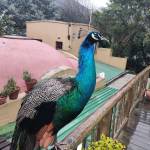 Michael Mationschek Profile Picture