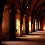 Regan Reinger Profile Picture