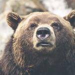 Freddy Batz Profile Picture