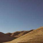 Bridget Connelly Profile Picture