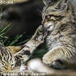 Georgianna Gerlach Profile Picture