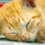 Marie Jacobi Profile Picture