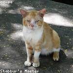 Gaylord Waelchi Profile Picture