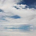 Loraine Harber Profile Picture