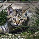 Destinee Wilkinson Profile Picture