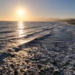 Haleigh Shafer Profile Picture