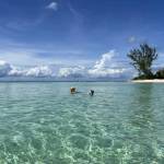 Laurie Spin Profile Picture