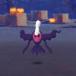 michaelcwkwong Profile Picture