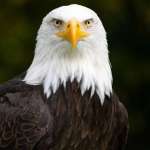 Feelswell Profile Picture