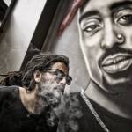 Toby Higinbotham Profile Picture