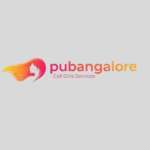 pu bangalore Profile Picture