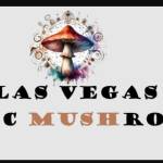 Psychedelic Mushrooms for sale in Las Vegas Profile Picture