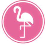 Flamingo Bus Miami Profile Picture