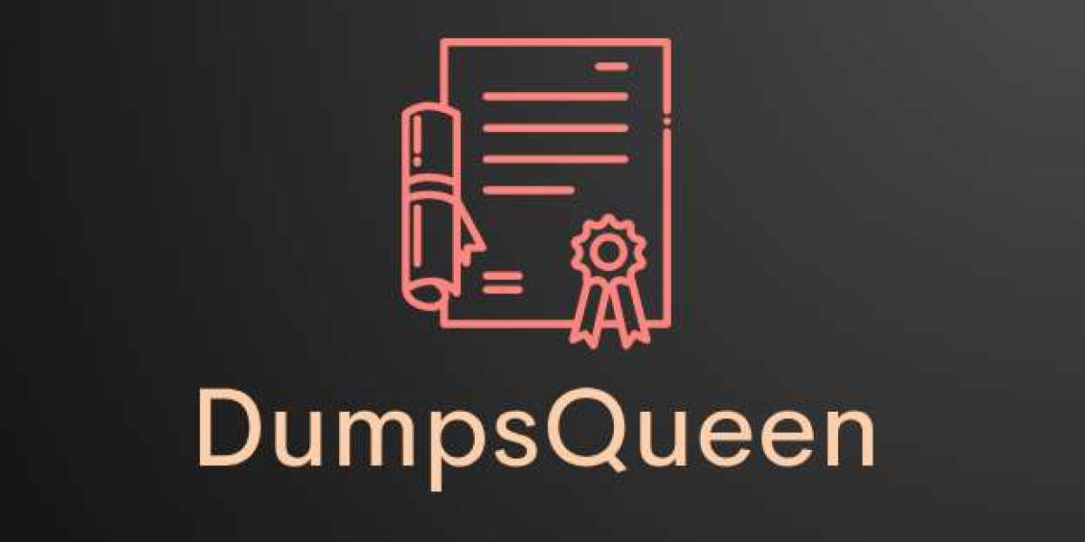 DumpsQueen Exam Dumps: Study Less, Achieve More